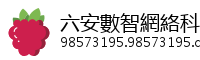 六安數智網絡科技網絡